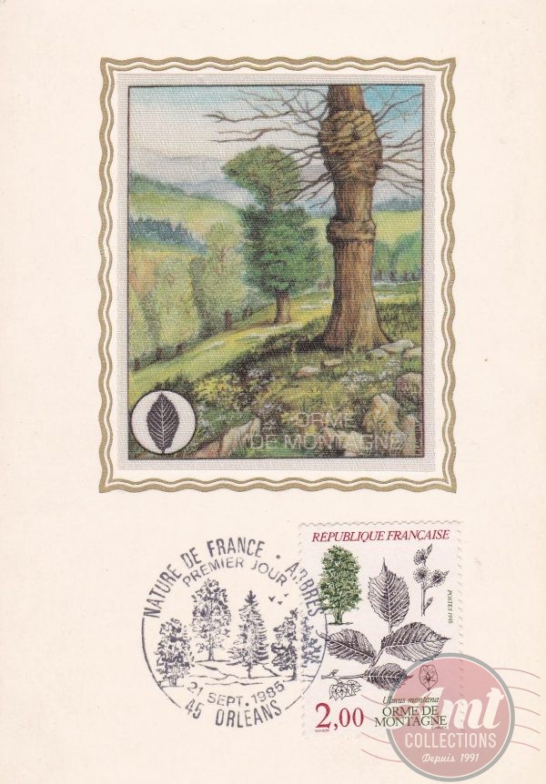 1985 - 21-09-1985 - 2,00 - Nature de France - Arbres - Orléans - L'orme de montagne