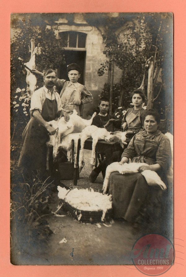 Carte Photo - On plume les Oies et on prépare les Lapins