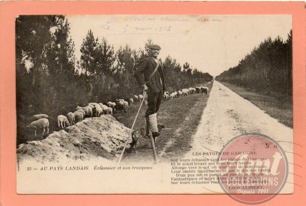 dept 40 - 35 - AU PAYS LANDAIS  - Echassier et son troupeau - Les Pâtres de Gascogne - Sur leurs échasses ...
