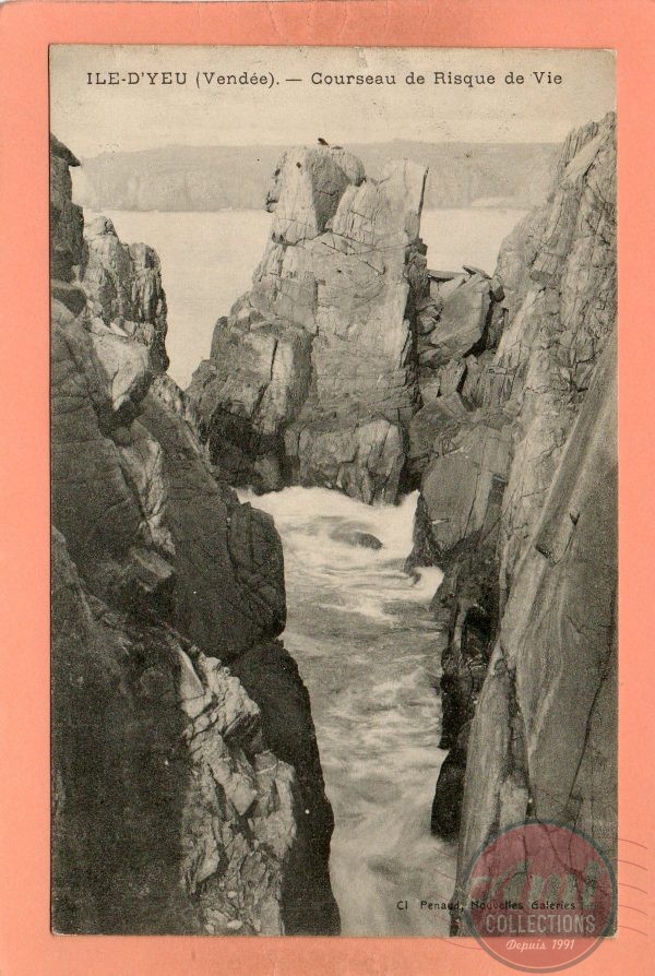 dept 85 - ILE-D'YEU - Courseau de Risque de Vie