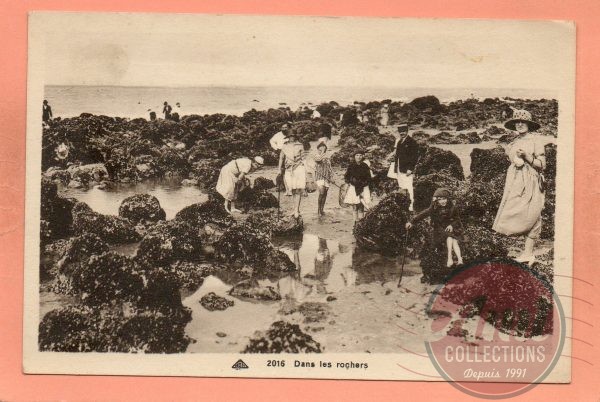 MER - 2016 - Dans les rochers